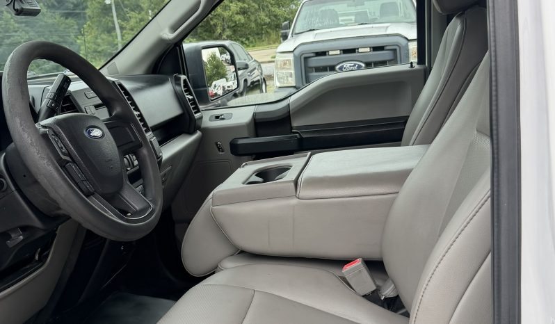 2019 Ford F-150 full