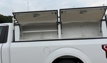 2019 Ford F-150 full
