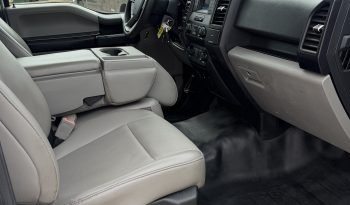 2019 Ford F-150 full